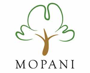 Mopani Copper Mines Plc