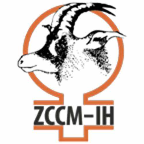 ZCCM Investments Holdings PLC